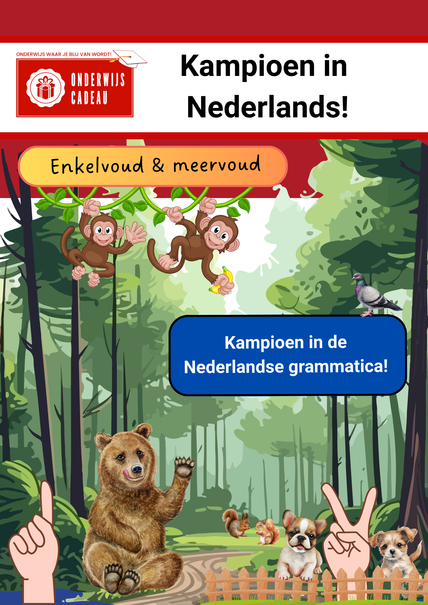 Kampioen in Nederlands! - NT2 - Enkelvoud & meervoud