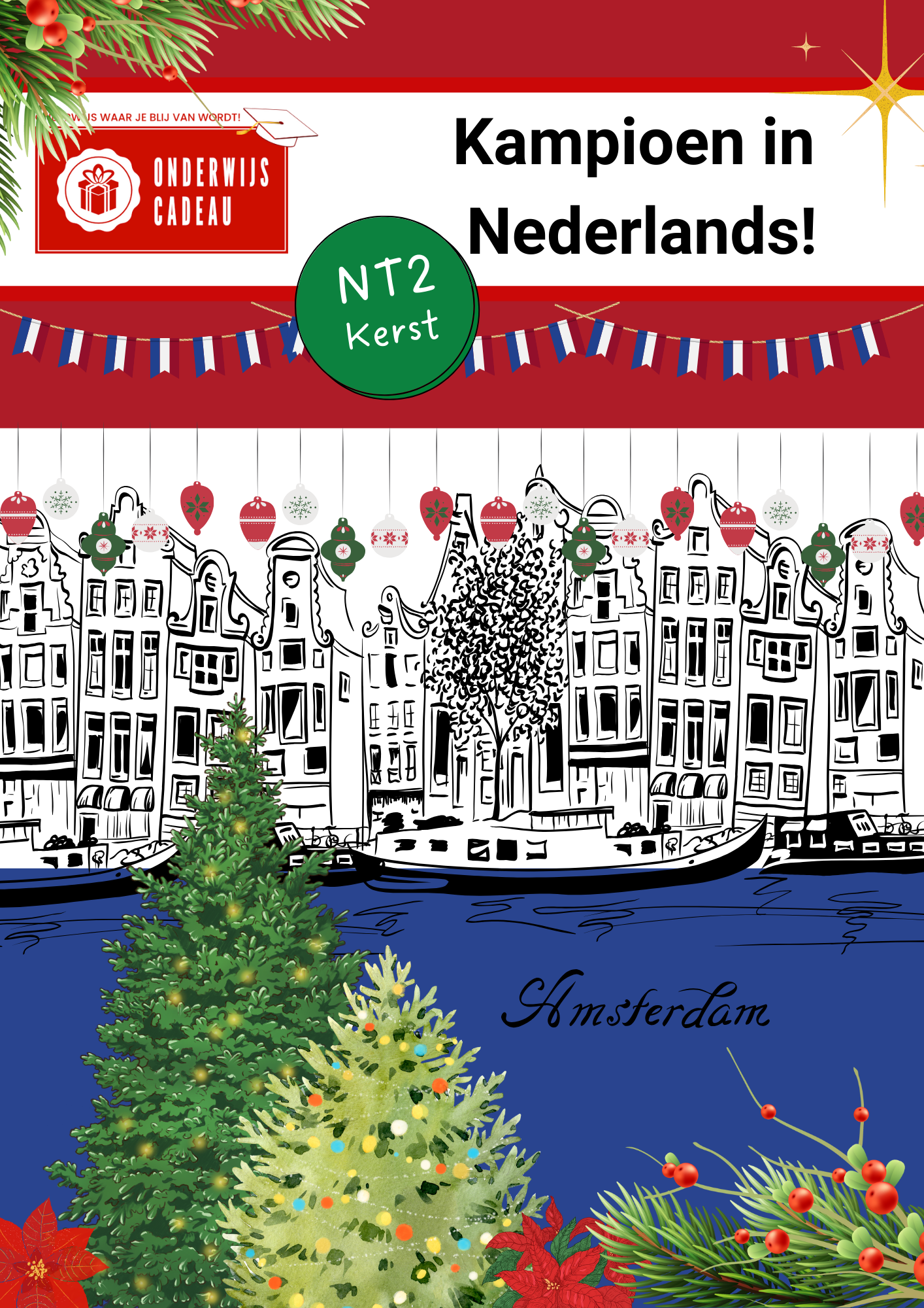 Voordeelbundel: Sint en kerst (NT2)