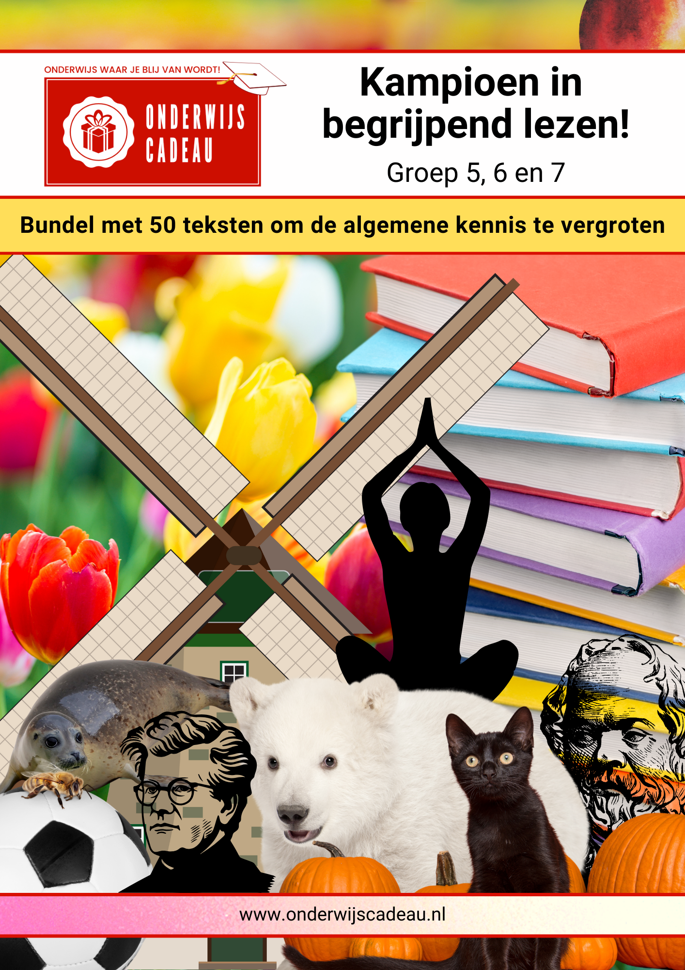 Voordeelpakket: Begrijpend lezen! - Groep 3 t/m 7