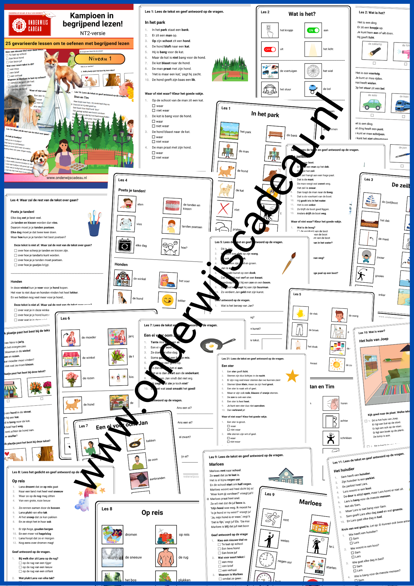 Kampioen in begrijpend lezen! - NT2-versie - Niveau 1 (gevarieerde lessen)