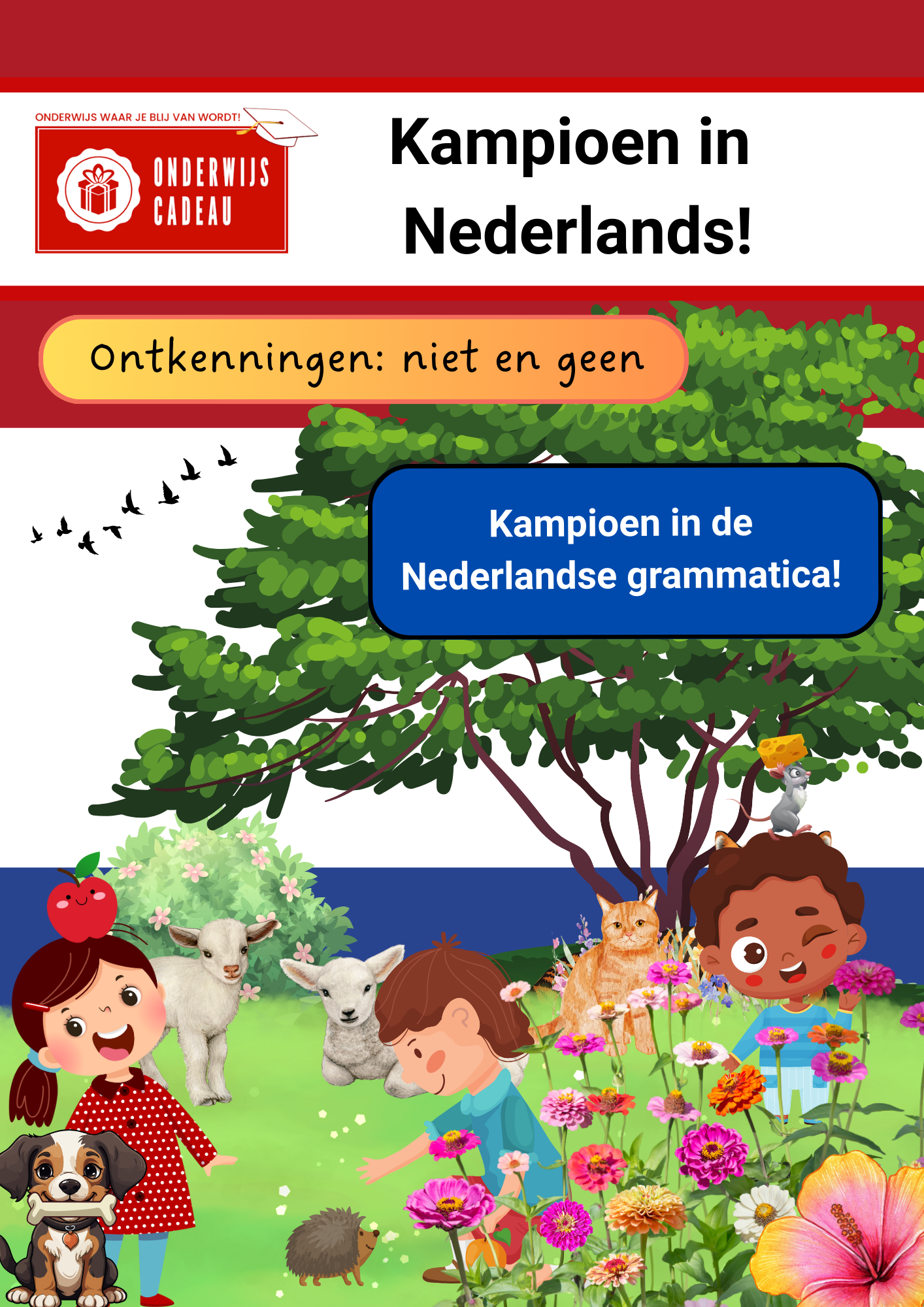 Kampioen in Nederlands! - NT2 - Ontkenningen: niet en geen