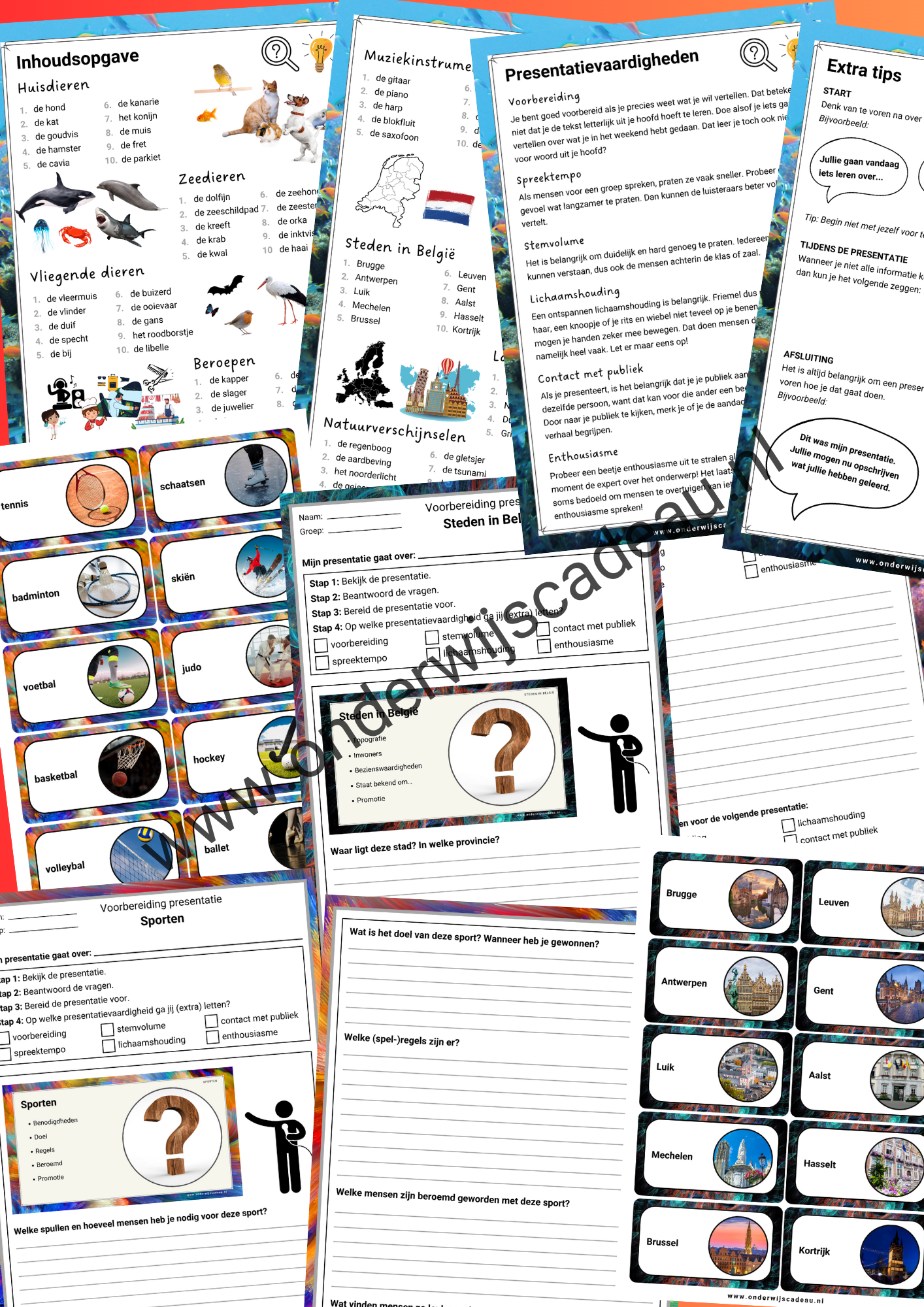 Kampioen in presenteren! - Groep 5 en 6