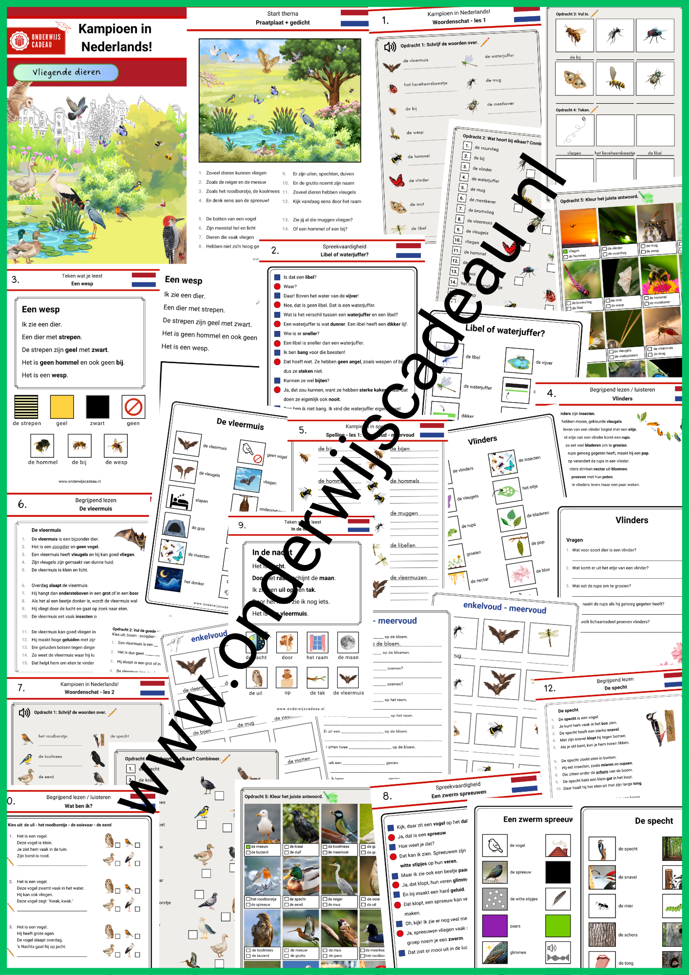 Vliegende dieren (NT2)
