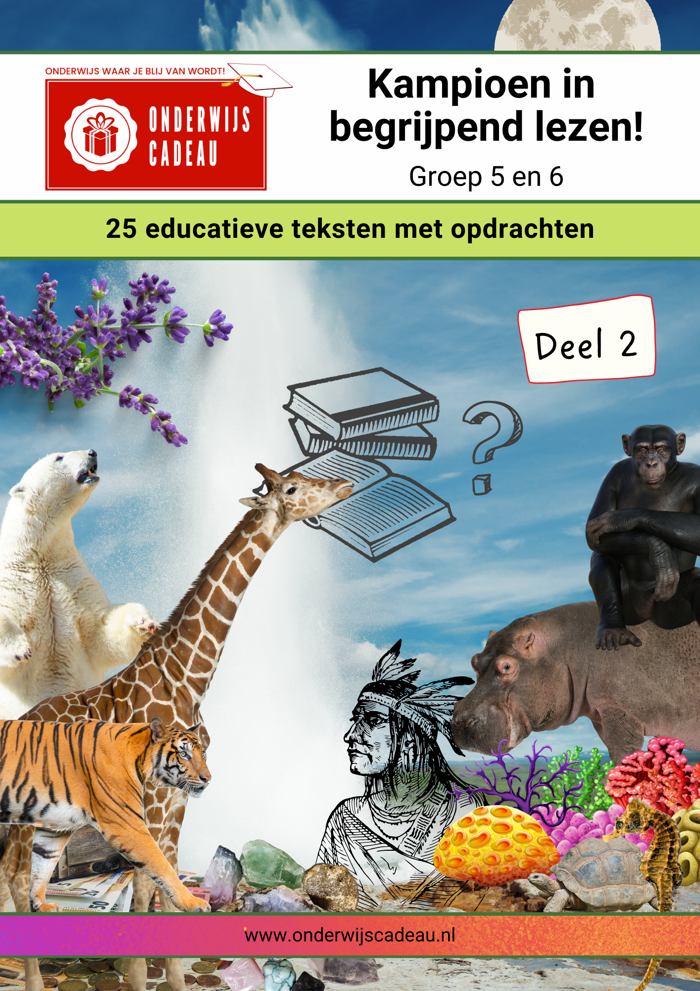 Kampioen in begrijpend lezen! - Groep 5/6 - Deel 2