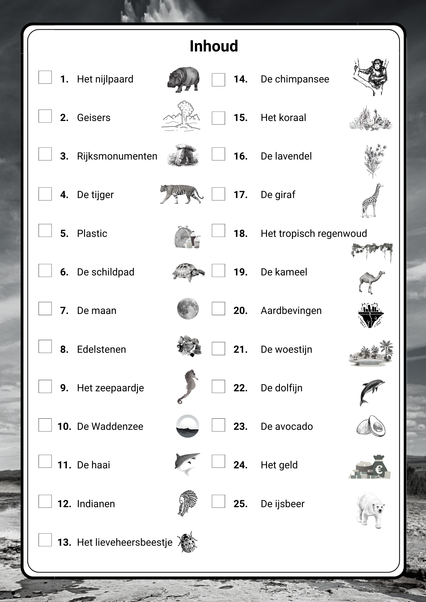 Kampioen in begrijpend lezen! - Groep 5/6 - Deel 2