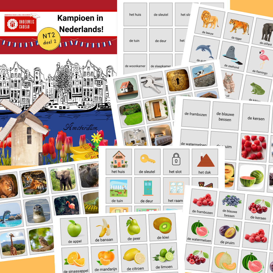 Memory - Kampioen in Nederlands! - NT2 - Deel 2