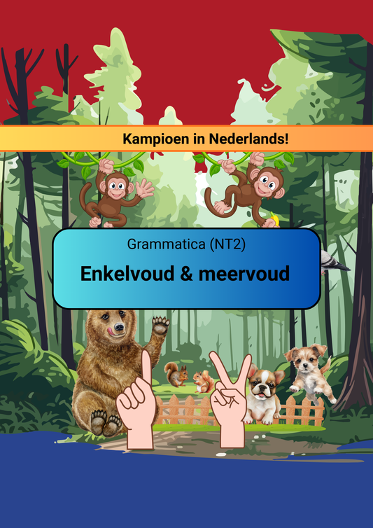 Enkelvoud & meervoud (NT2)
