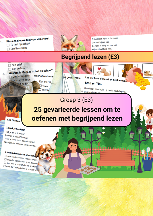 Begrijpend lezen (E3)