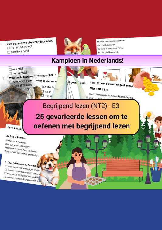 Begrijpend lezen (NT2) - E3