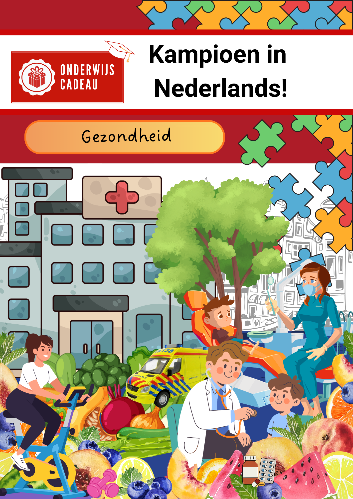 Gezondheid (NT2)