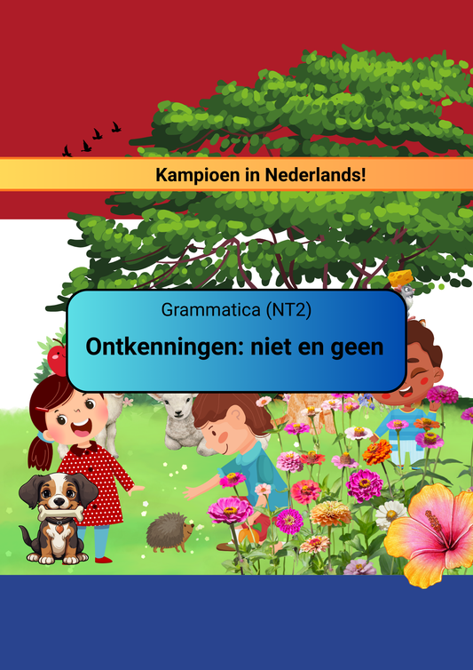 Ontkenningen: niet en geen (NT2)