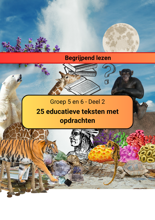 Begrijpend lezen (Groep 5/6) - Deel 2