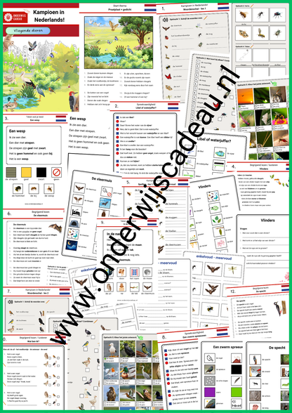 Vliegende dieren (NT2)