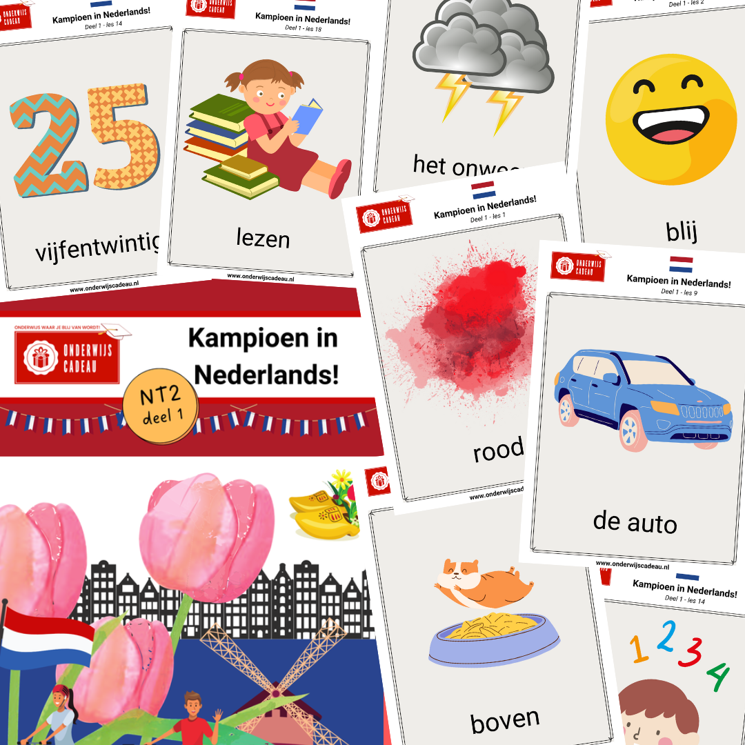 Woordkaarten - Kampioen in Nederlands! - NT2 - Deel 1
